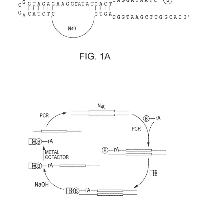 Principles Of Fluorescence Spectroscopy Lakowicz Pdf Download