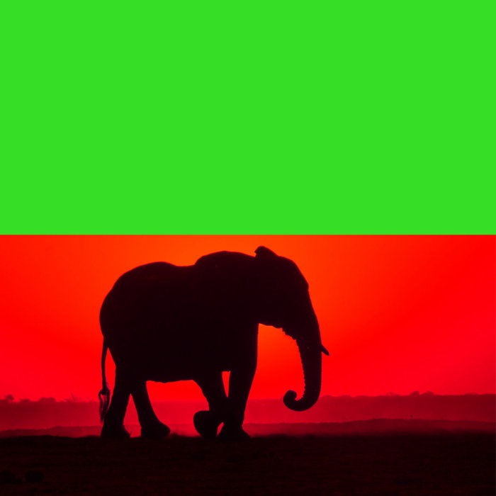 Music strawberry elephant