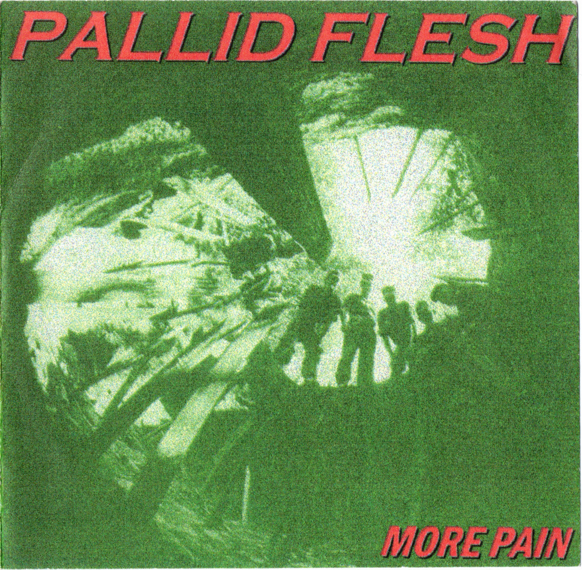 PALLID FLESH - More Pain (Demo 2004) cover