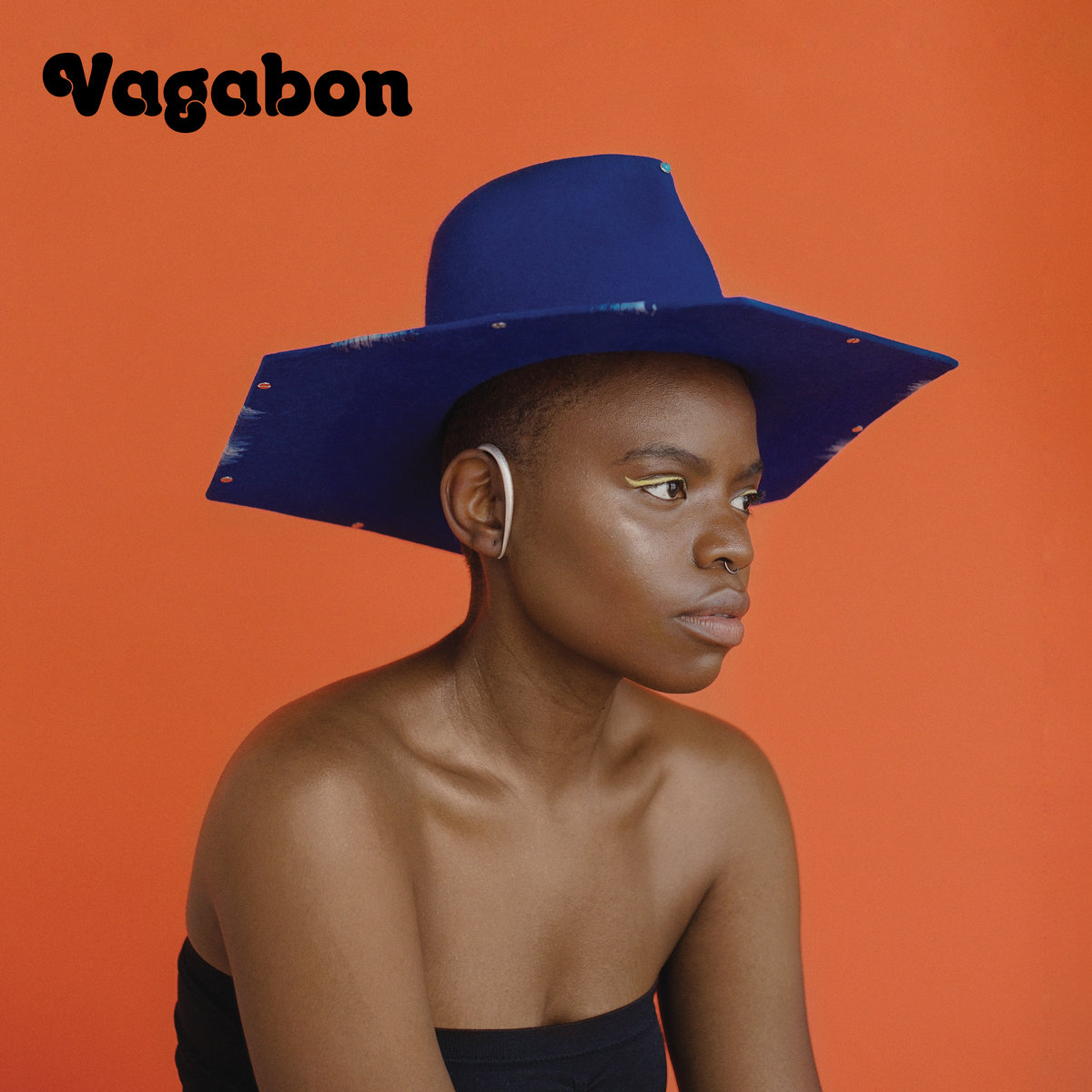 Image result for vagabon album cover