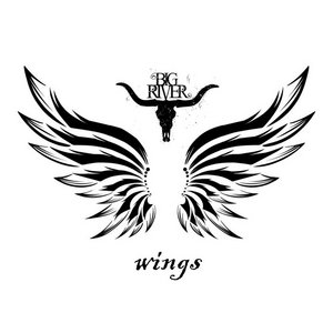 Wings cover