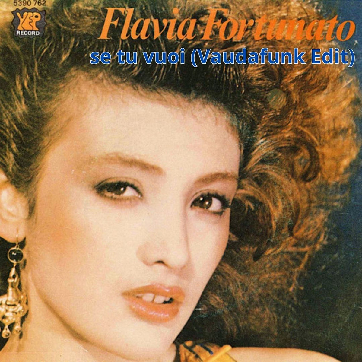 Flavia Fortunato - Se Tu Vuoi (Vaudafunk Edit) | Vaudafunk