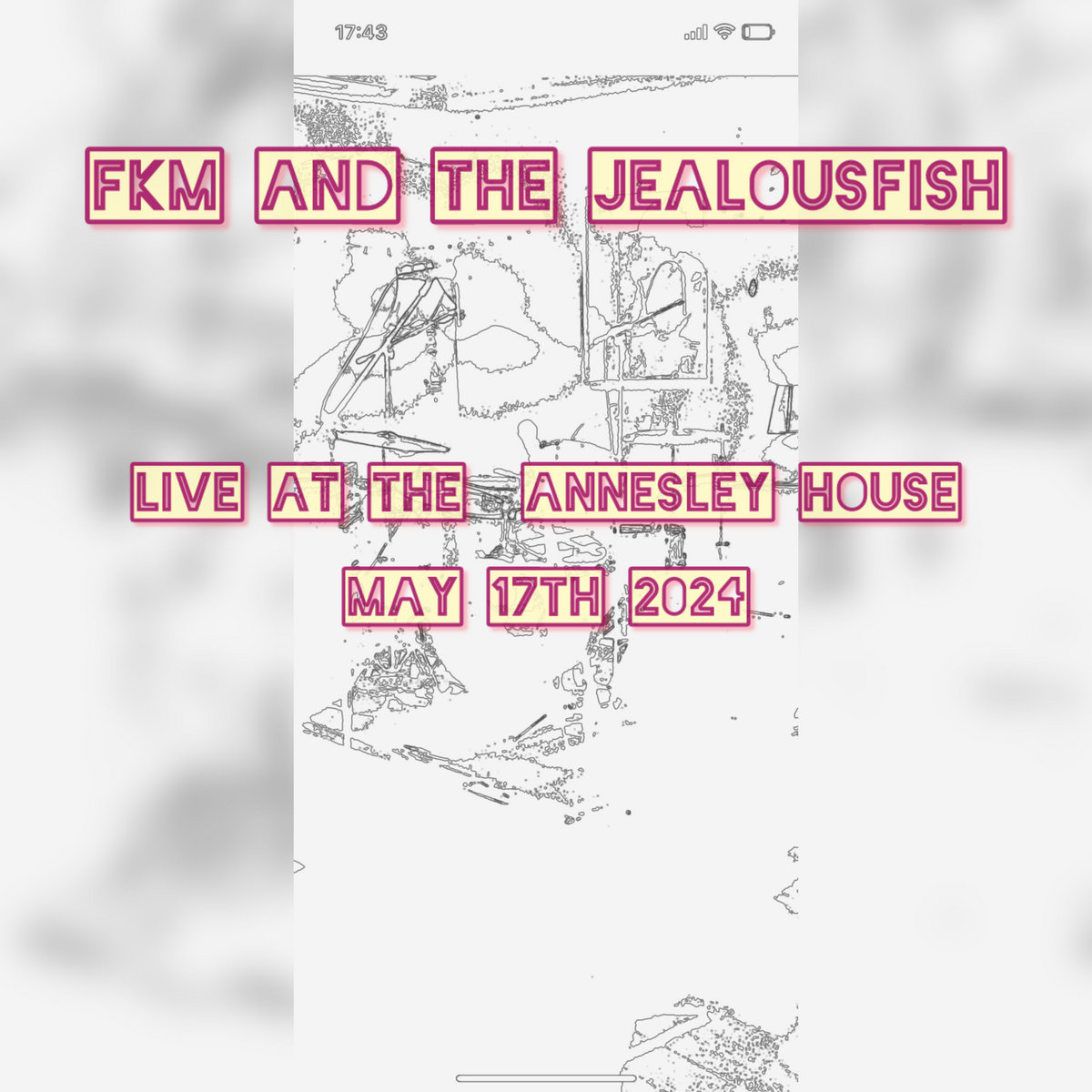 FKM AND THE JEALOUS FISH cover