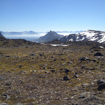 Tainted Love (VD Remix) cover art