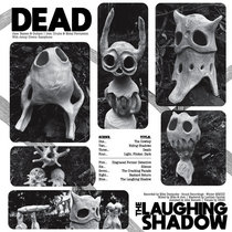 The Laughing Shadow cover art