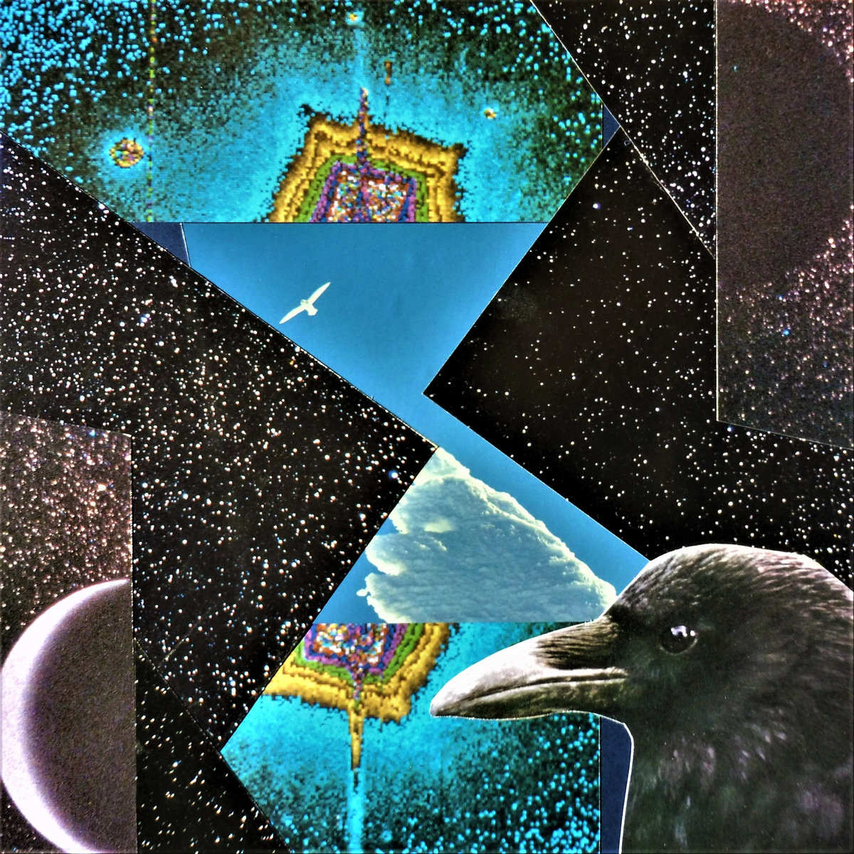 a3536411118_10.jpg