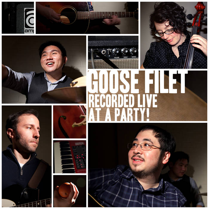 Recorded Live At A Party! Goose Filet
