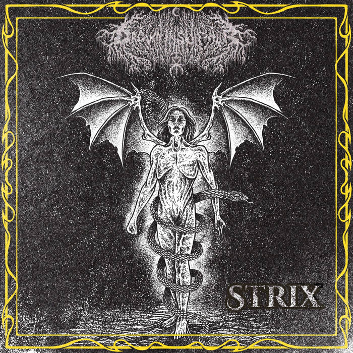 zxx69's collection | Bandcamp