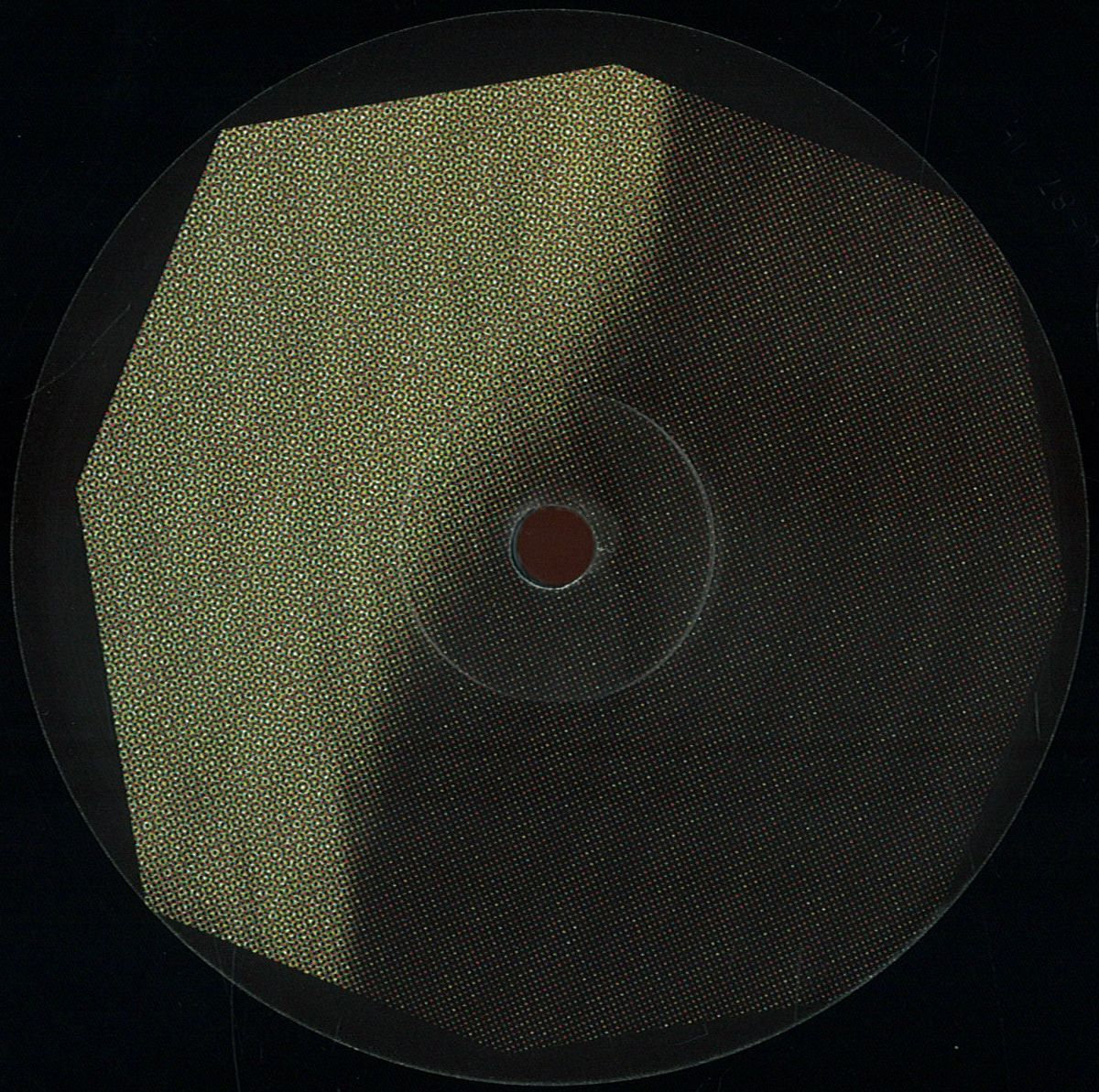 a3538721351_10.jpg