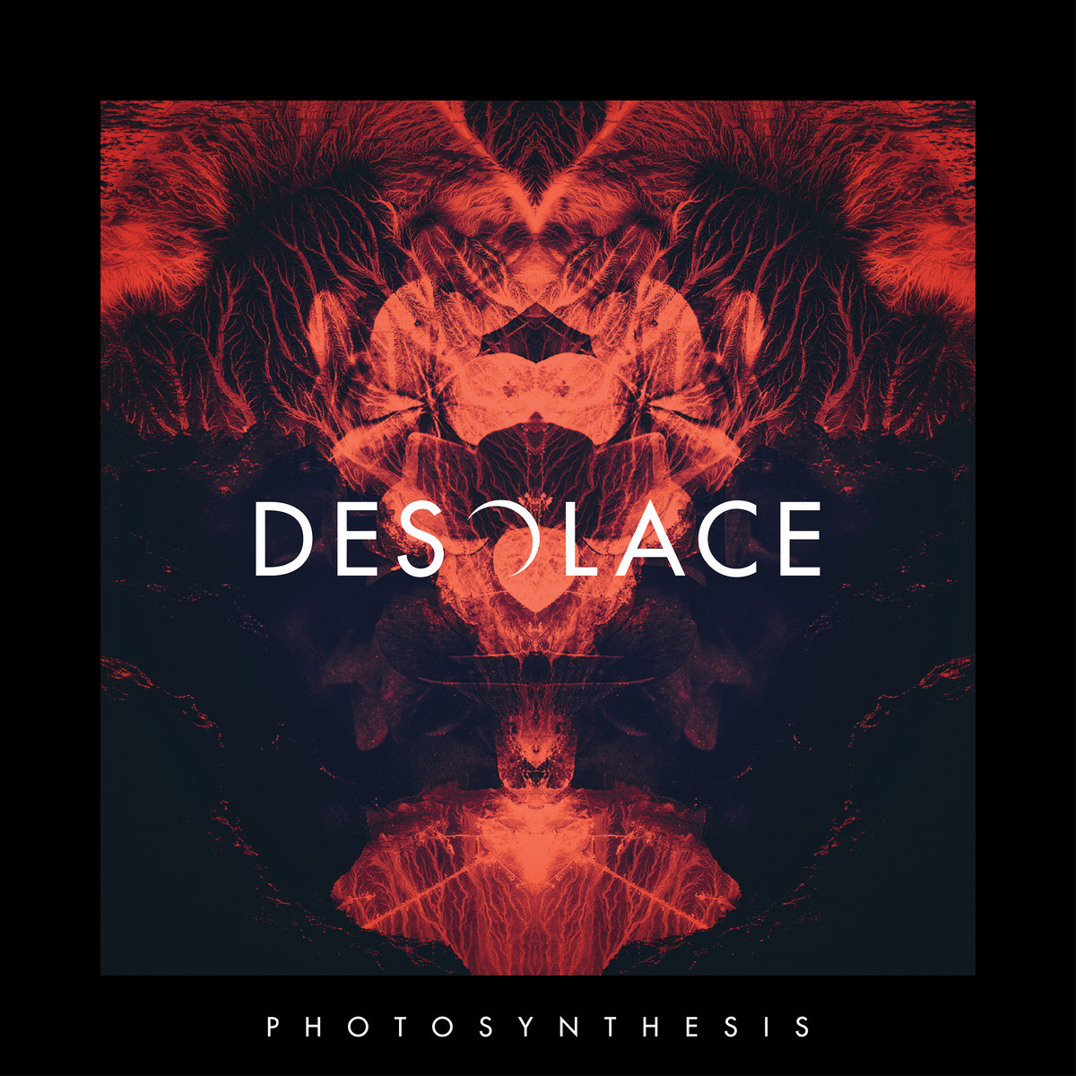 PHOTOSYNTHESIS DESOLACE