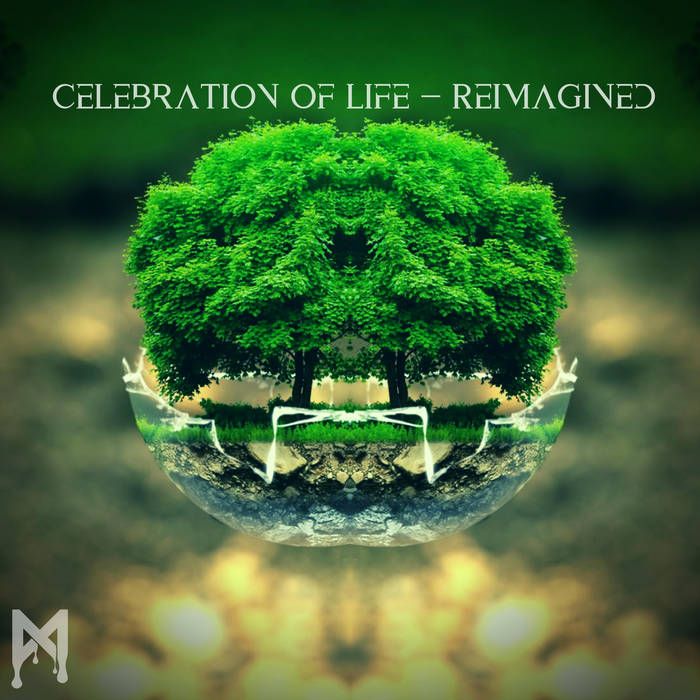 Mfinity - Celebration of Life (Reimagined) | Mfinity