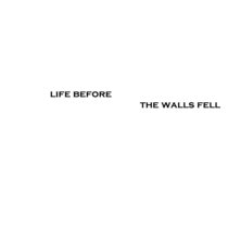 Life Before The Walls Fell - Live cover art