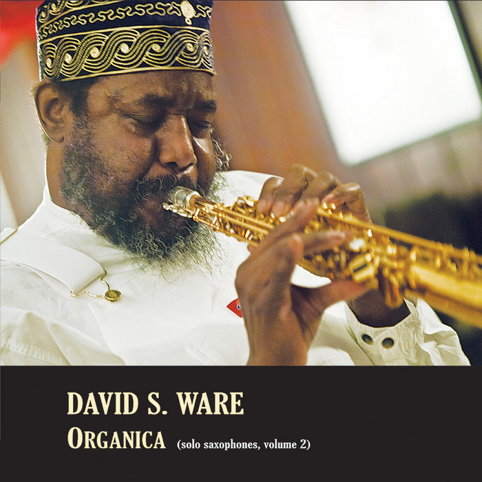 Organica (solo saxophones, volume 2), by David S. Ware