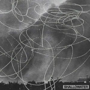 Birdshot cover