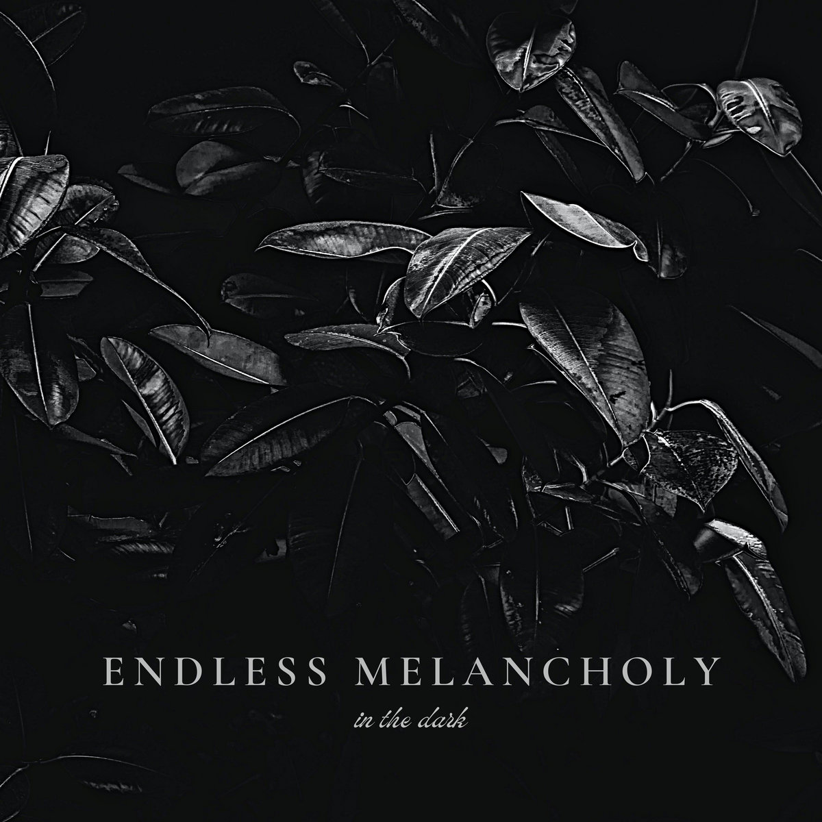 Searching For Melany - Endless