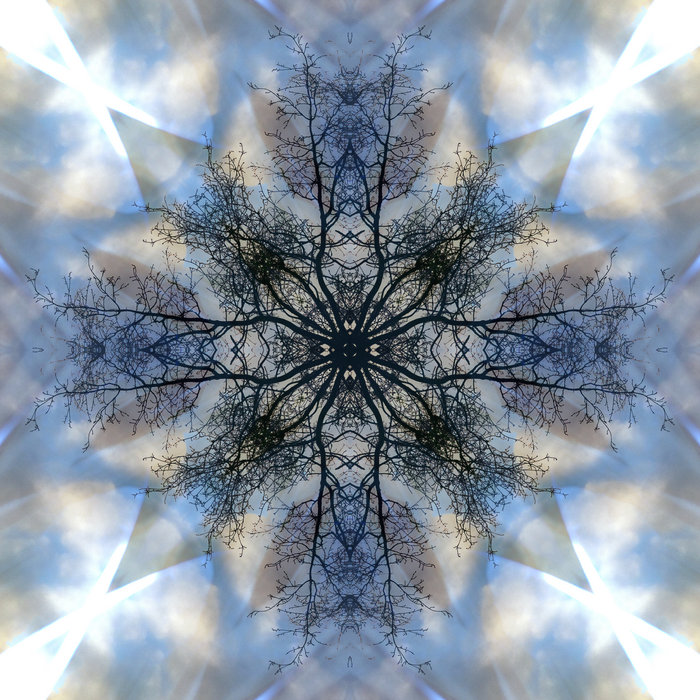 Submerged Echoes | DTime