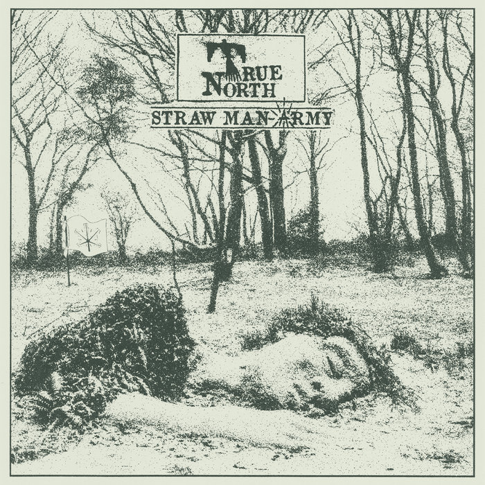 Pochette de TRUE NORTH (Vinyl LP) par STRAW MAN ARMY