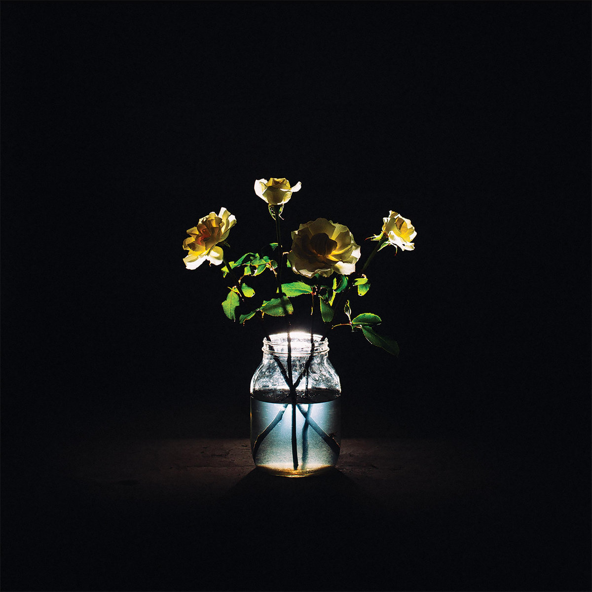 Renewal Billy Strings