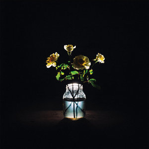 Billy Strings — Renewal