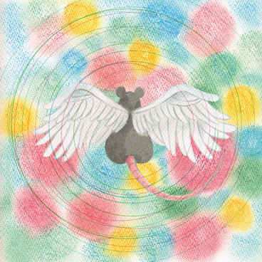 Album cover for Mei Semones - Animaru