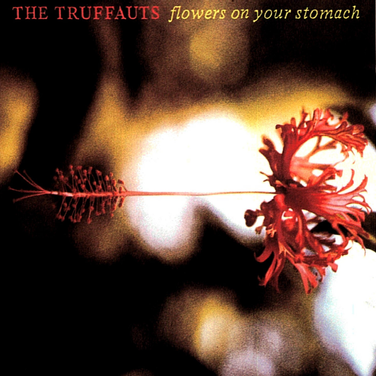 Flowers On Your Stomach (30th anniversary edition) | The Truffauts