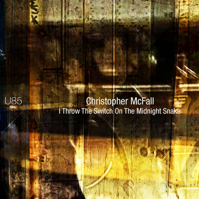 I Throw The Switch On The Midnight Snake | Christopher McFall
