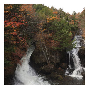 contemplation cover