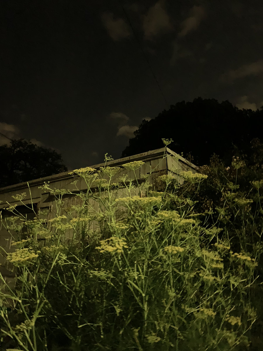 Discography Pantry Ghost