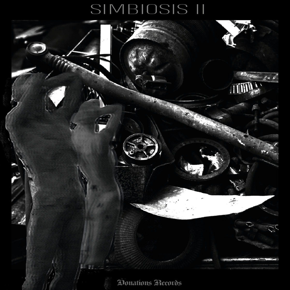 simbiosis ii