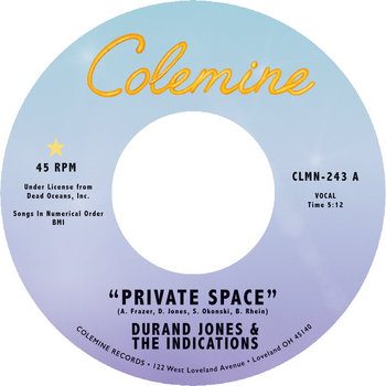 Private Space | CD (2021, Digisleeve) Von Durand Jones & The Indications