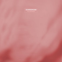 Void XXV | Chihei Hatakeyama | White Paddy Mountain
