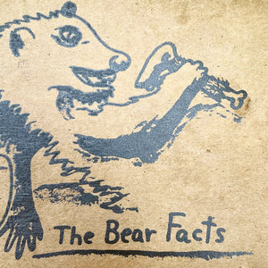 The Bear FactsFranklin's Mint cover