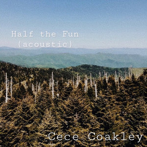 Half the Fun (Acoustic) cover