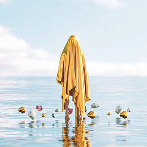 The Ocean cover