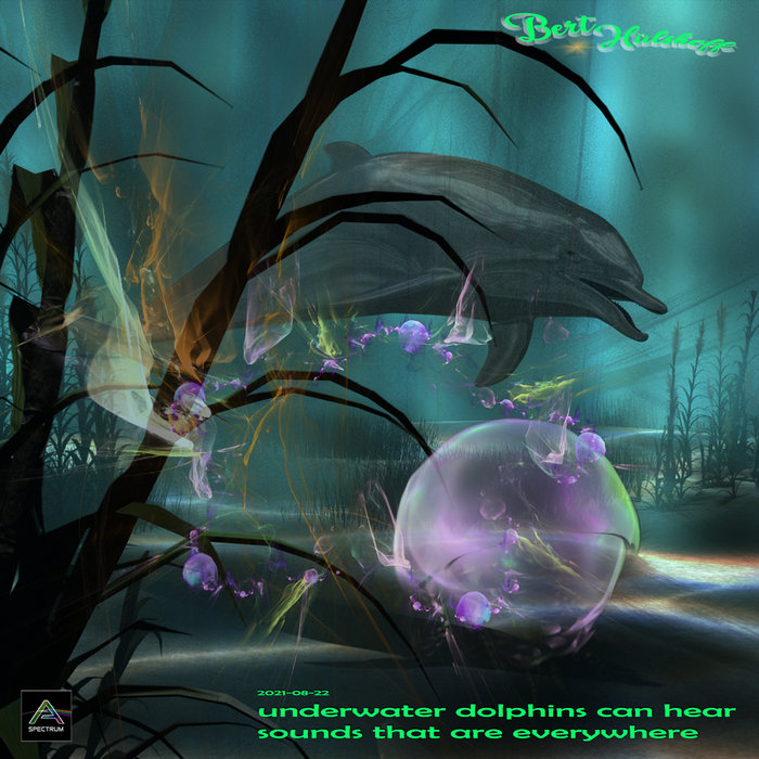 Underwater Dolphins Can Hear Sounds That Are Everywhere Bert Hulshoff