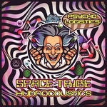 Space Tribe & Hypnocoustics - Psycho Logistics