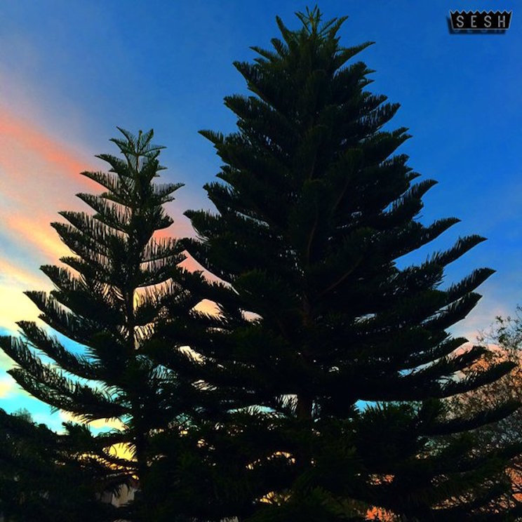 You Are Missing The Point W Bones Drew The Architect