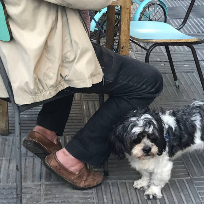 Les grandes maisons
von Joaquin Ortega