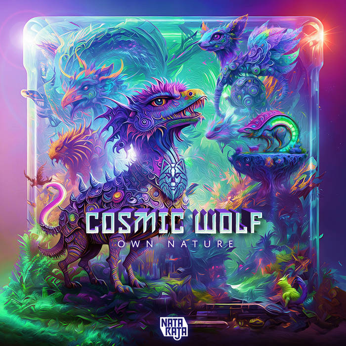 Unseen Dimensions | Radikal Moodz | Nataraja Records