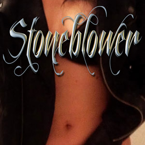 Stoneblower cover