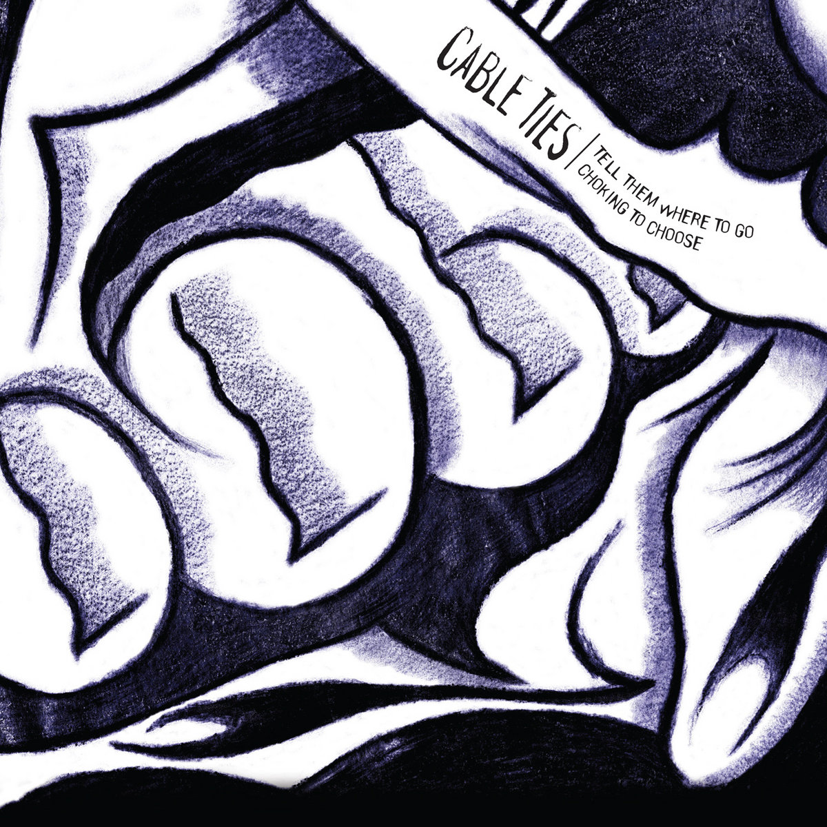 Tell Them Where To Go Cable Ties