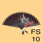 FS 10