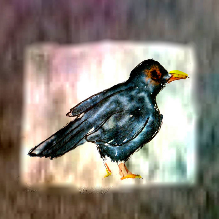 Thirteen Ways of Looking at a Blackbird | Roslyn Steer