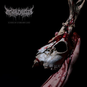 Echoes of a Forlorn Land (24-bit HD audio) cover