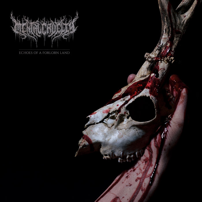 Portada oficial de Echoes of a Forlorn Land de Mental Cruelty