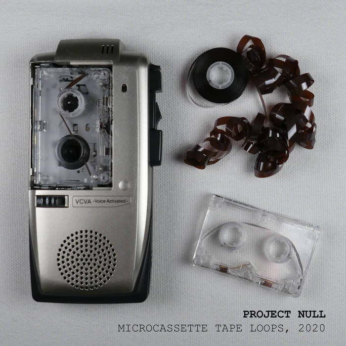 古田 順子 Project Null