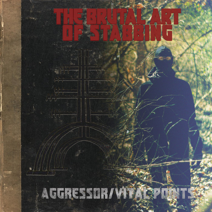 Aggressor/Vital Points | The Brutal Art of Stabbing