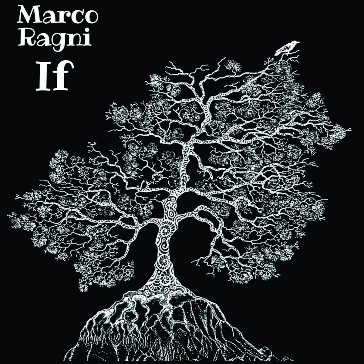 Marco ragni - If