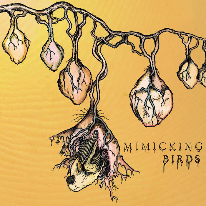 Mimicking Birds | Mimicking Birds