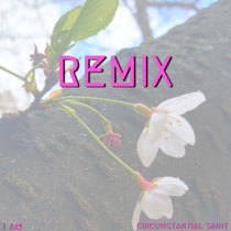 I AM: REMIX cover art